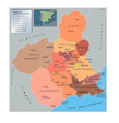 Carte communes province Murcia plastifiée